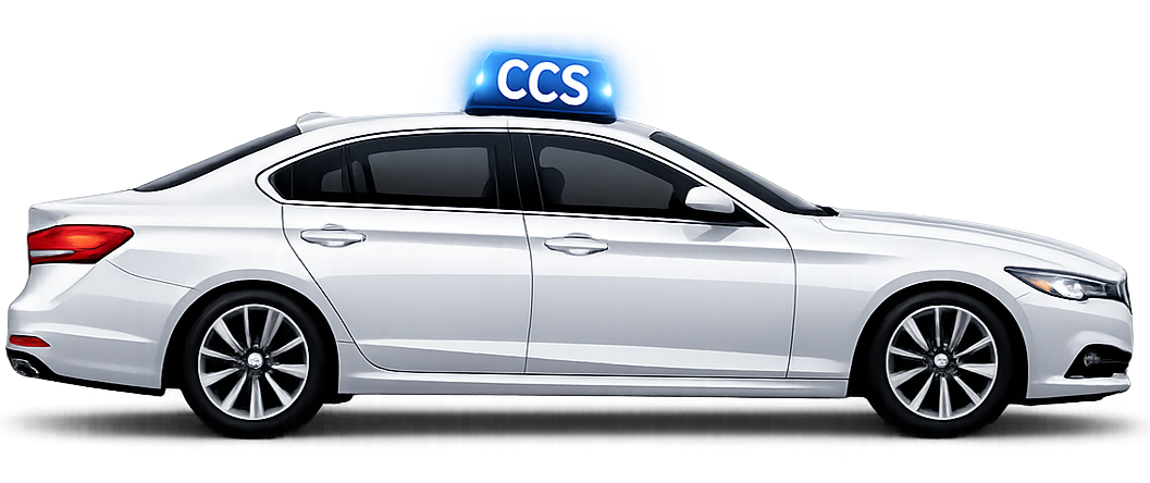 Corporate Travel Car